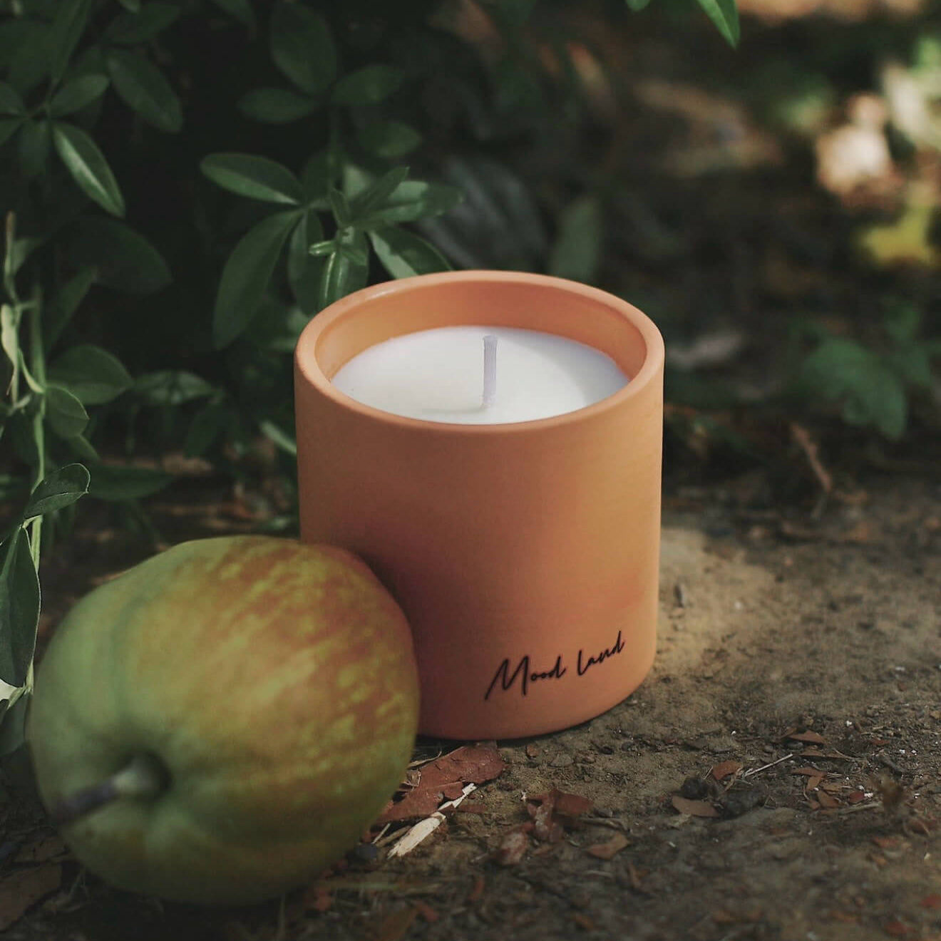 CIRCLEARA Whisky Pear scented candle in a rustic, porous red terracotta vessel, styled outdoors with fresh green pears to showcase the natural, earthen grounding aesthetic.