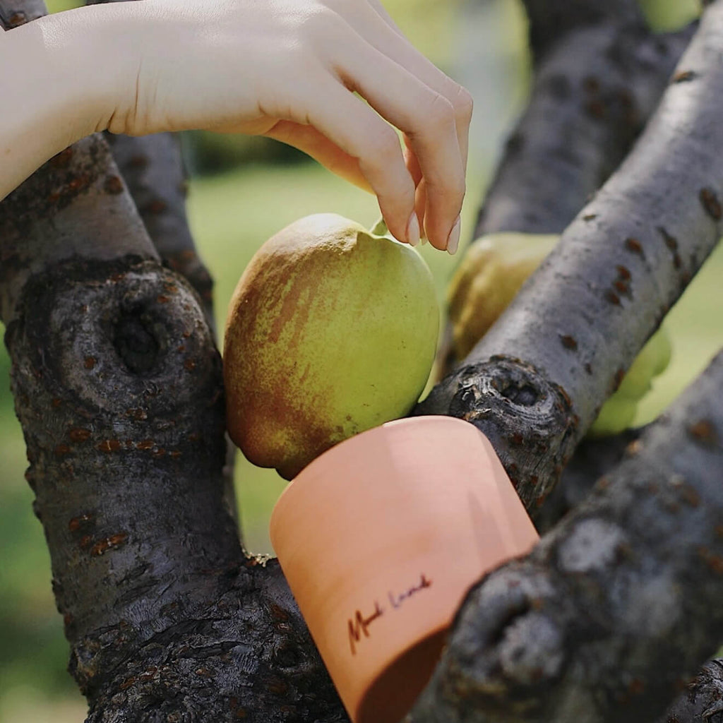 CIRCLEARA Whisky Pear scented candle in a rustic, porous red terracotta vessel, styled outdoors with fresh green pears to showcase the natural, earthen grounding aesthetic.