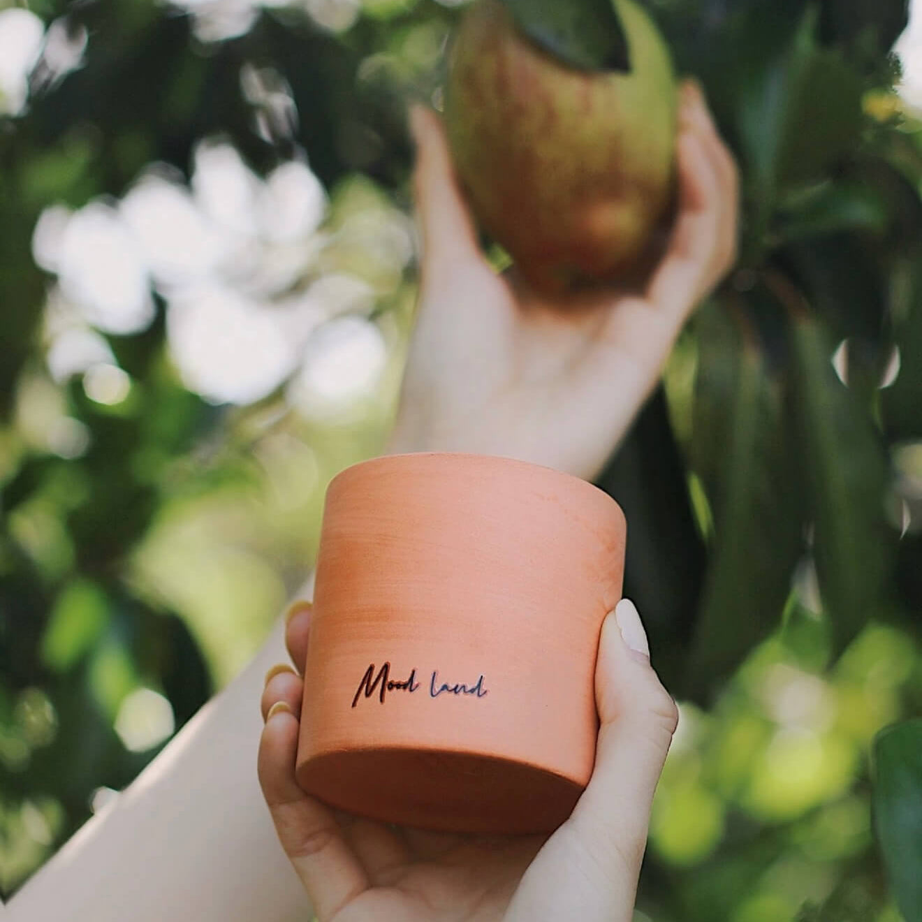 CIRCLEARA Whisky Pear scented candle in a rustic, porous red terracotta vessel, styled outdoors with fresh green pears to showcase the natural, earthen grounding aesthetic.
