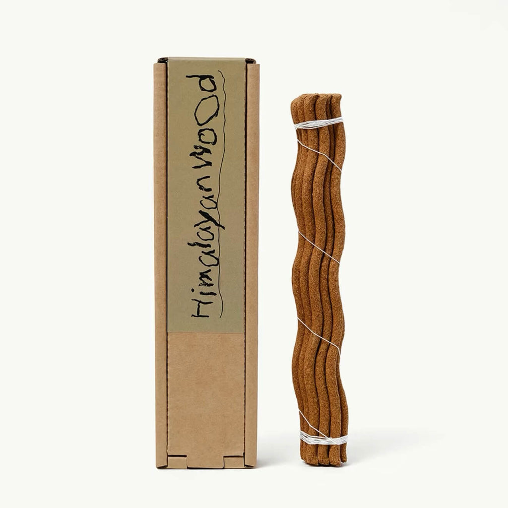 A single wavy botanical incense stick by CIRCLEARA in a red terracotta holder, representing a fluid energy reset.